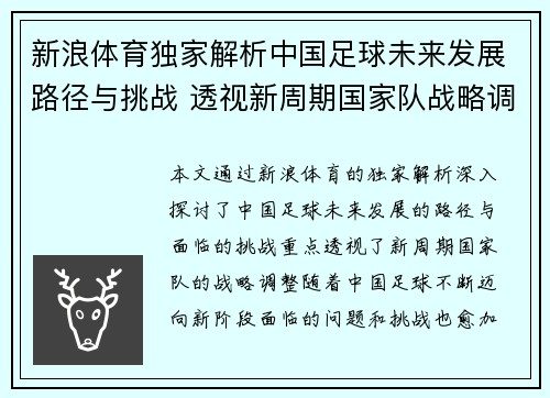新浪体育独家解析中国足球未来发展路径与挑战 透视新周期国家队战略调整